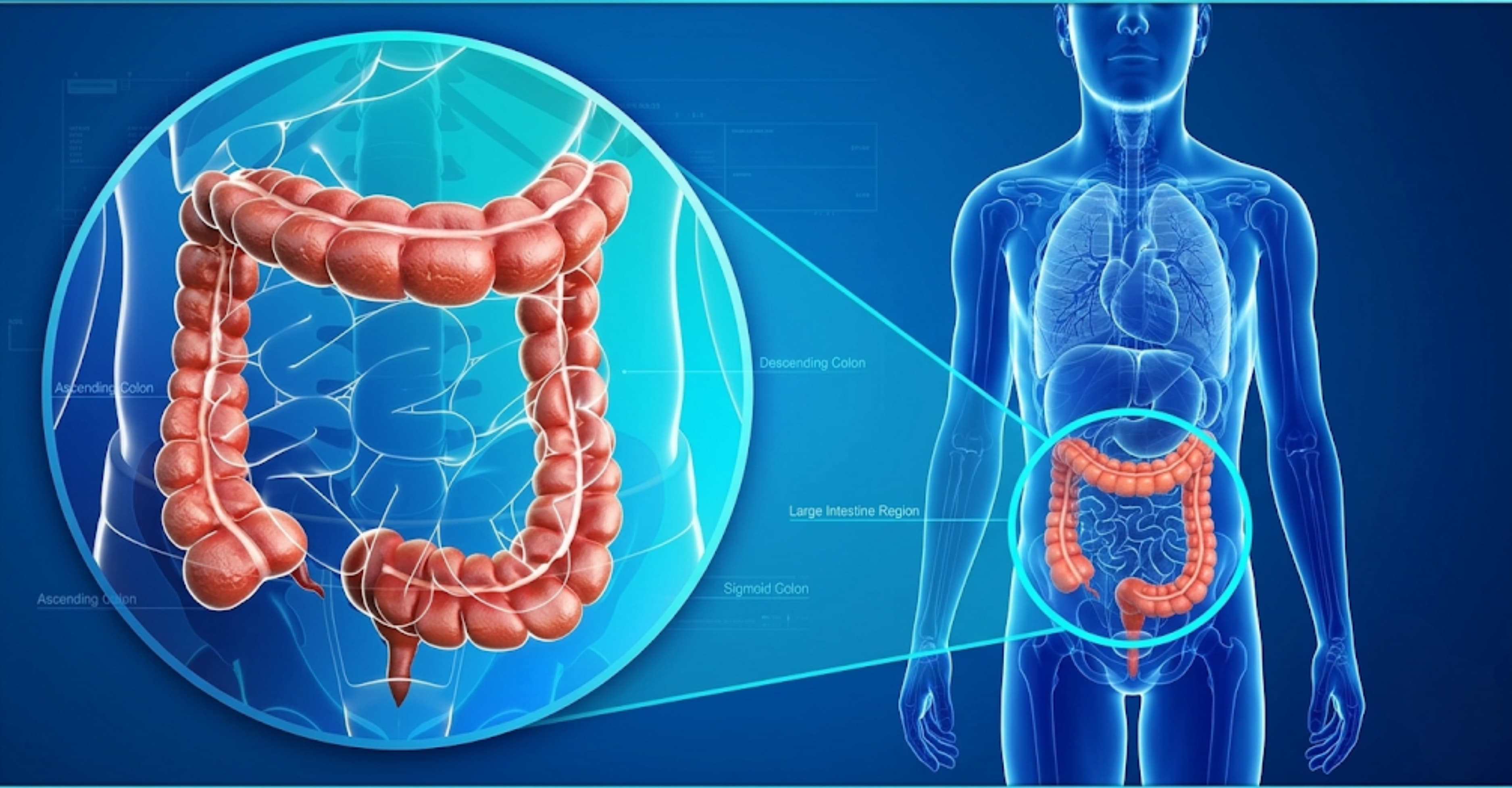 9 dấu hiệu ung thư đại tràng sớm và cách nhận biết chính xác