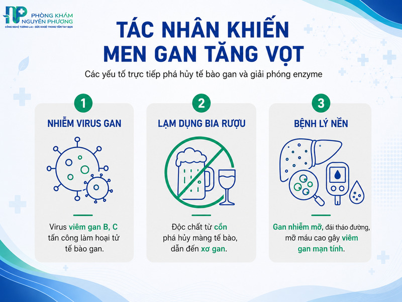 Bảng phân loại mức độ tổn thương gan dựa trên nồng độ enzyme trong máu.