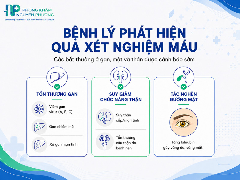 Các bệnh lý gan và thận phát hiện qua xét nghiệm máu
