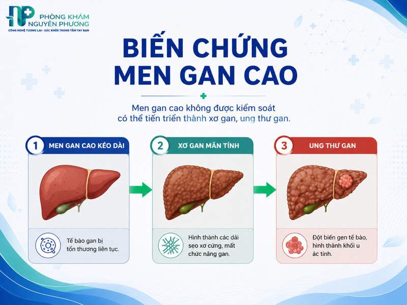 Hệ lụy nguy hiểm khi bỏ qua tình trạng men gan tăng cao kéo dài.