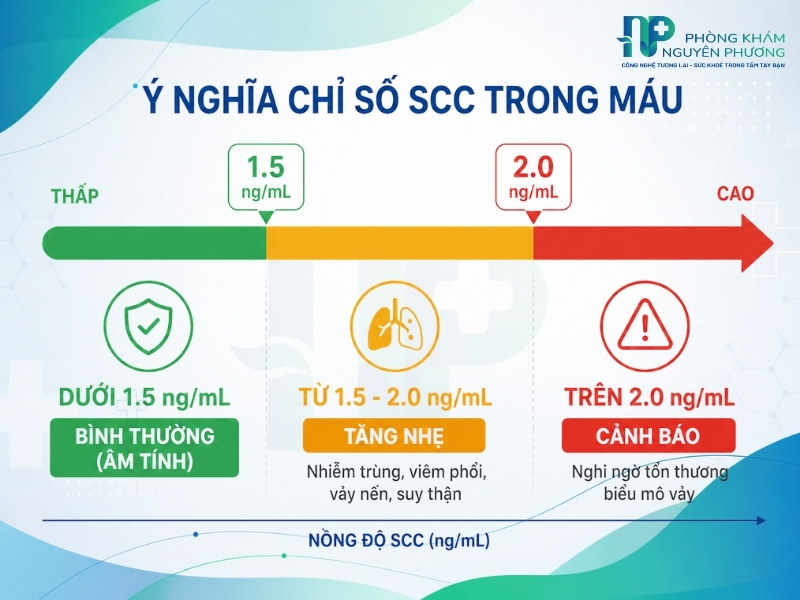 Mức độ biến động của SCC trong máu giúp định hướng chẩn đoán các tình trạng sức khỏe