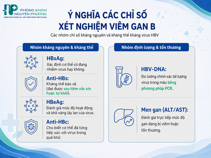 Ý nghĩa các chỉ số xét nghiệm viêm gan B cơ bản