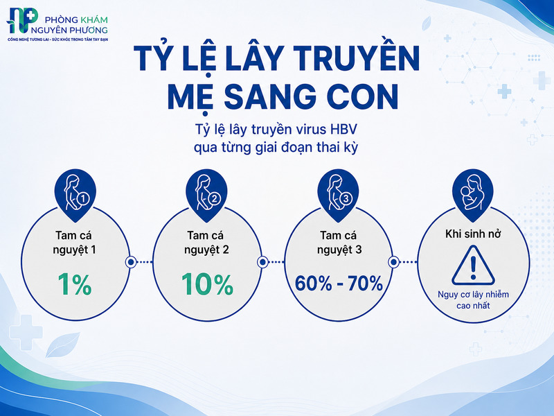 Tỷ lệ lây truyền dọc từ mẹ sang thai nhi tăng dần theo tuổi thai kỳ.