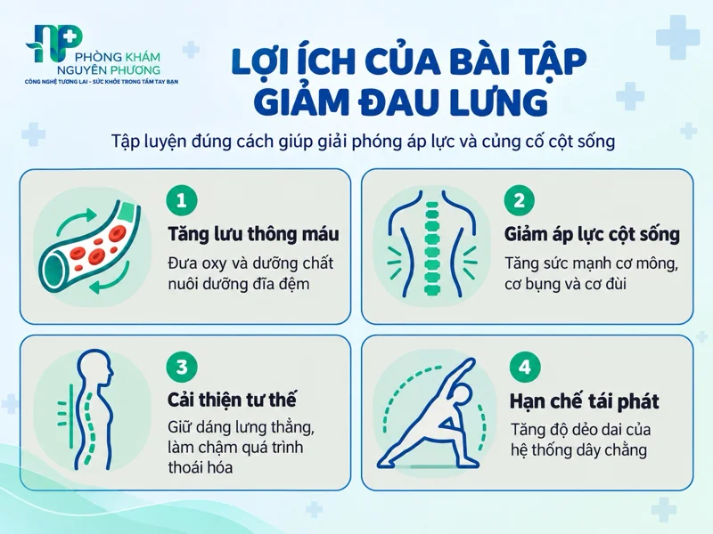 Tác dụng tích cực của bài tập giảm đau lưng