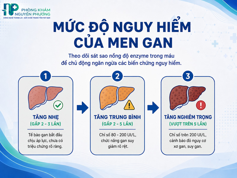 Bảng phân loại mức độ tổn thương gan dựa trên chỉ số men gan đo được.