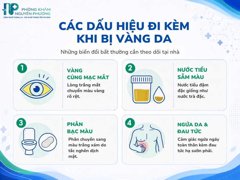 Các triệu chứng bất thường cảnh báo tổn thương hệ gan mật