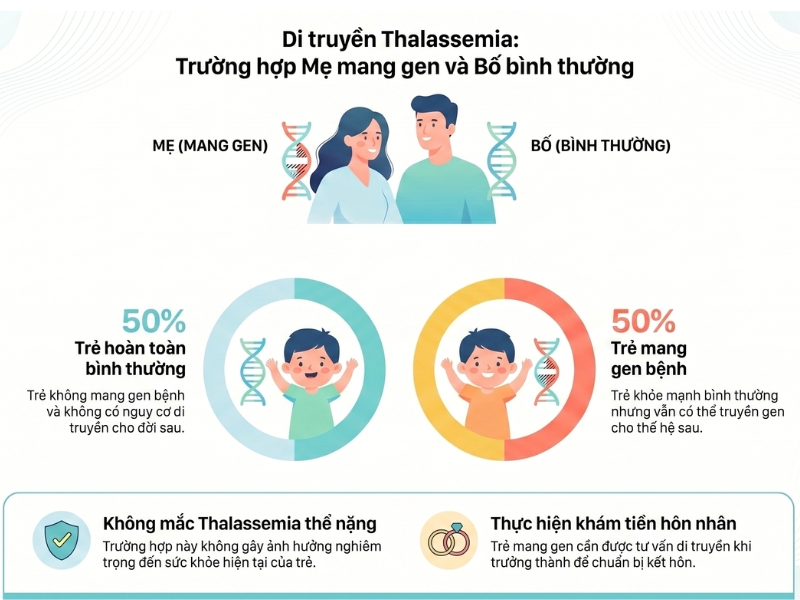Mẹ mang gen Thalassemia bố bình thường thì trẻ có thể mang gen bệnh hoặc bình thường