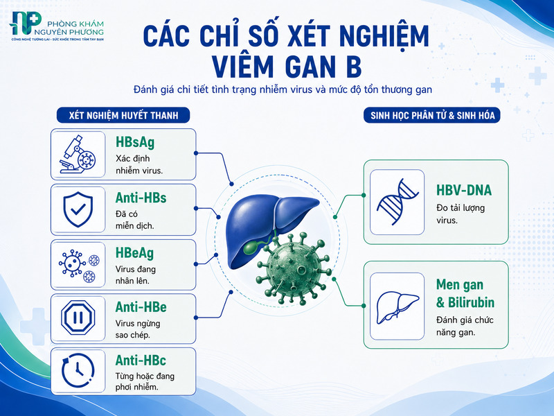 Các chỉ số quan trọng trong xét nghiệm viêm gan B.
