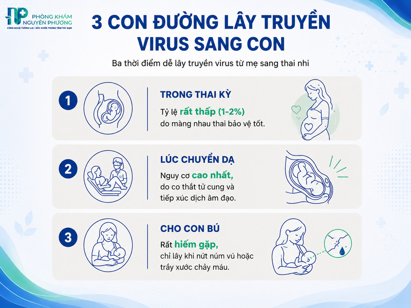 Các thời điểm lây truyền virus viêm gan B từ mẹ sang thai nhi.