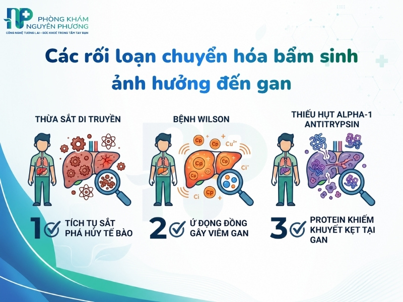 Ba hội chứng rối loạn chuyển hóa bẩm sinh làm tăng nguy cơ tổn thương gan