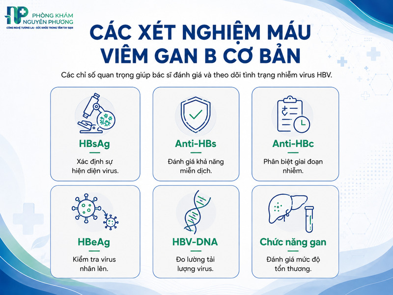 Ý nghĩa các chỉ số xét nghiệm kháng nguyên, kháng thể và men gan.