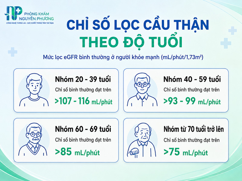 Bảng tra cứu chỉ số lọc cầu thận bình thường theo từng độ tuổi