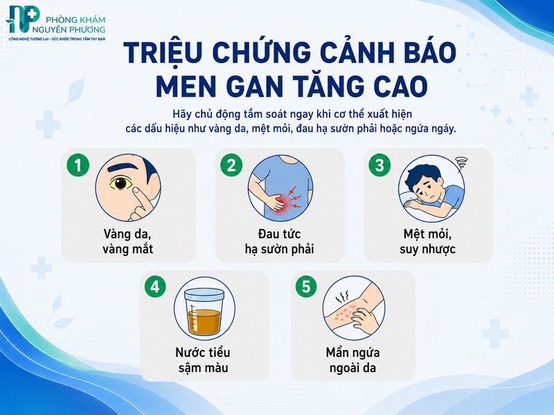 Những tín hiệu lâm sàng cảnh báo tế bào gan đang bị tổn thương nghiêm trọng.
