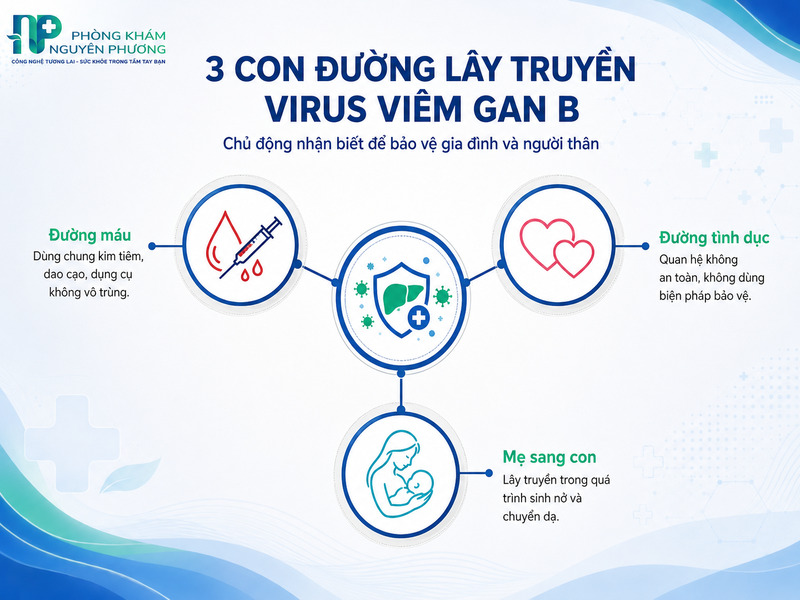 Các con đường lây lan chính của virus viêm gan B