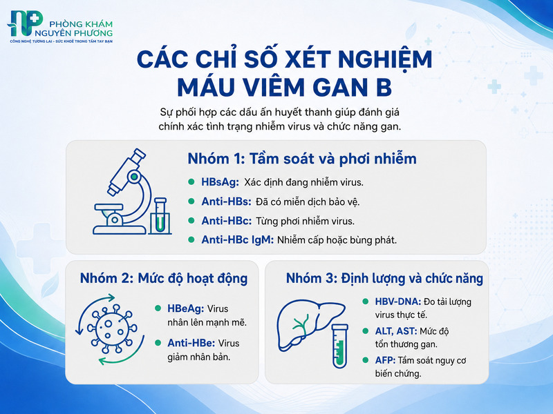 Ý nghĩa các chỉ số kháng nguyên và kháng thể trong xét nghiệm máu viêm gan B