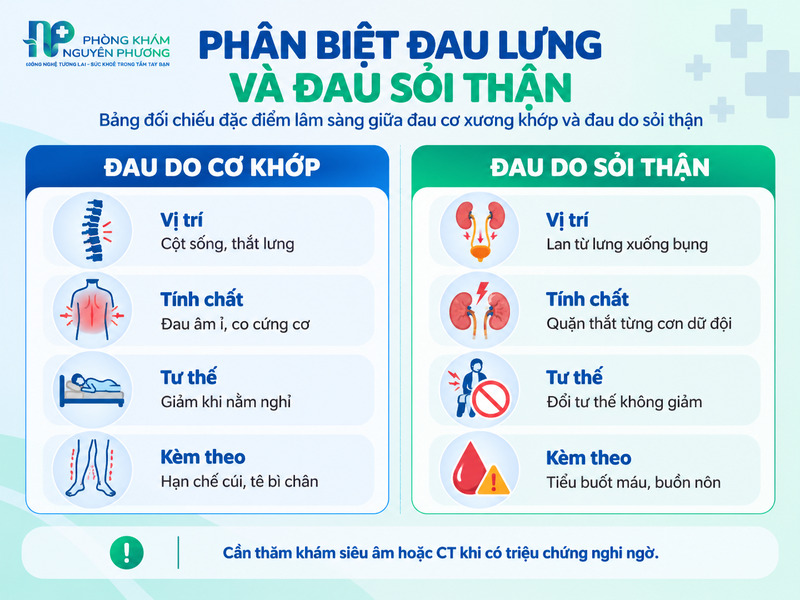 Vị trí cơn đau quặn thận so với đau lưng thông thường