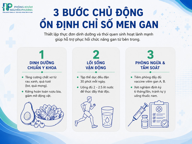 Cẩm nang chăm sóc và ổn định chỉ số men gan tại nhà.