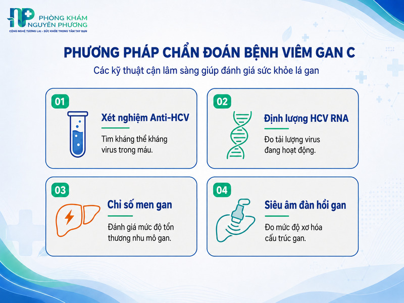 Các phương pháp cận lâm sàng hỗ trợ chẩn đoán bệnh lý viêm gan C