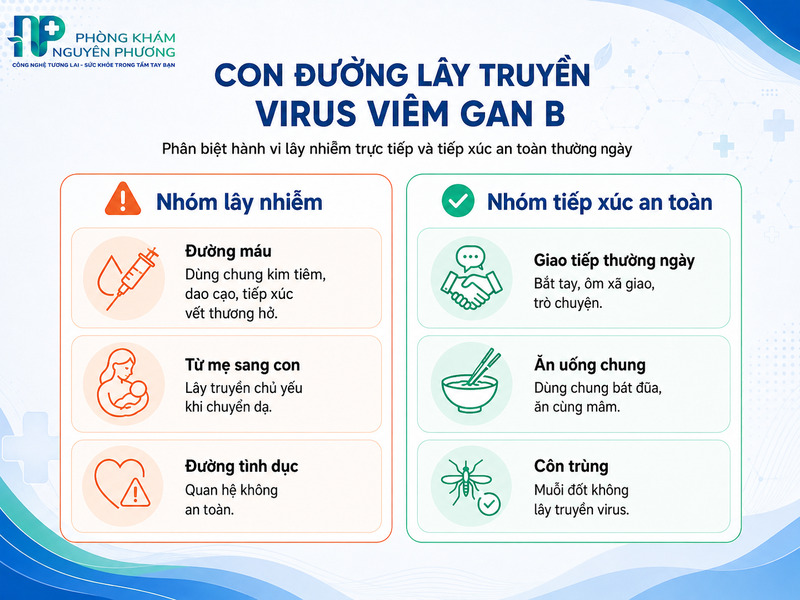 Sự khác biệt giữa đường lây truyền trực tiếp và các tiếp xúc an toàn thường ngày.
