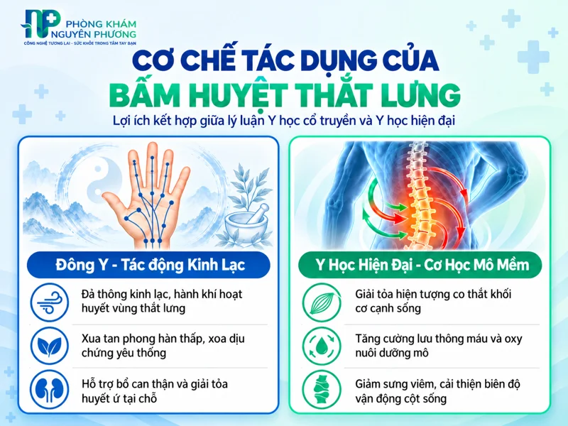 Cơ chế tác dụng của bấm huyệt thoát vị đĩa đệm