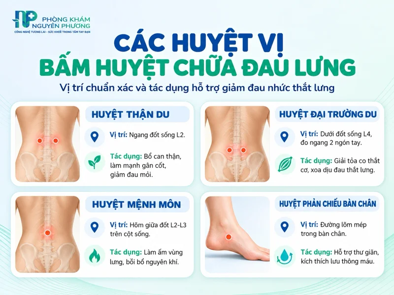 Vị trí và công dụng các huyệt vị giảm đau lưng