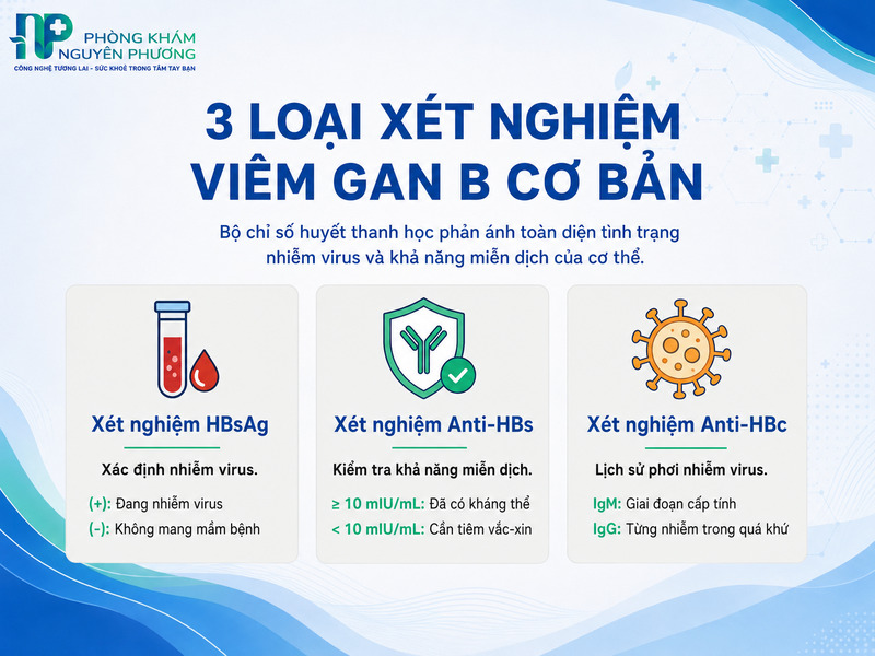 3 loại xét nghiệm viêm gan B cơ bản
