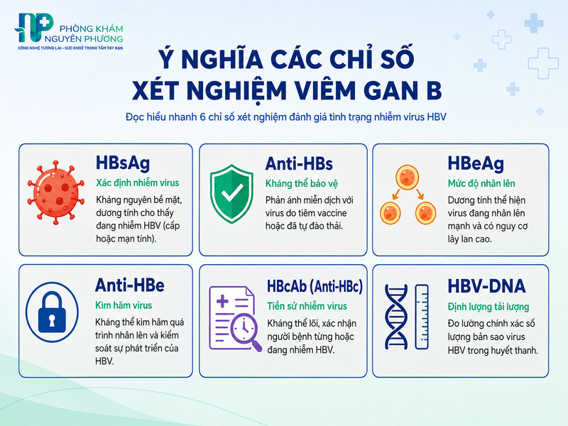 Các chỉ số xét nghiệm huyết thanh chẩn đoán virus viêm gan B