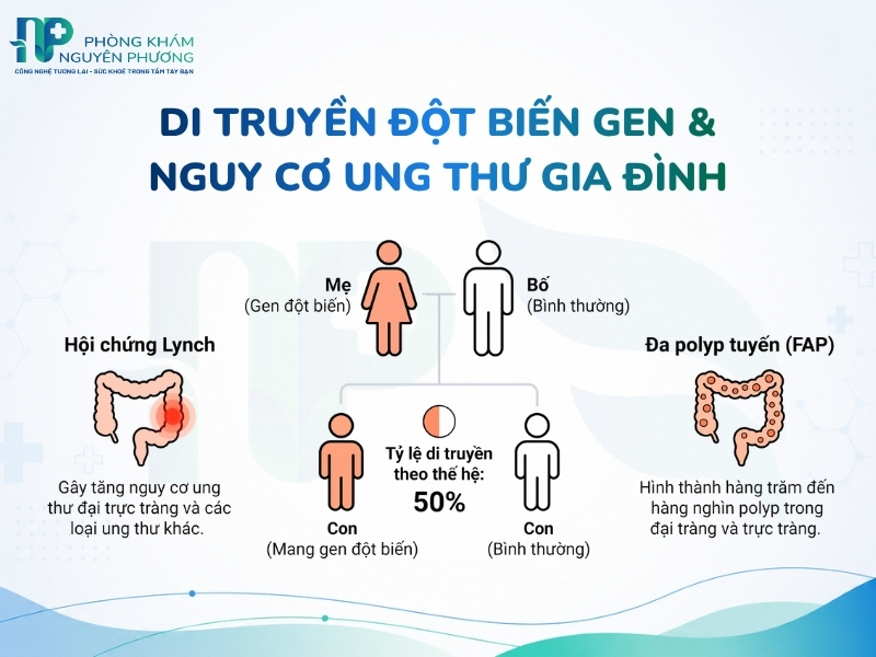 Hội chứng Lynch và đa polyp tuyến gia đình (FAP) làm tăng đáng kể nguy cơ mắc bệnh.