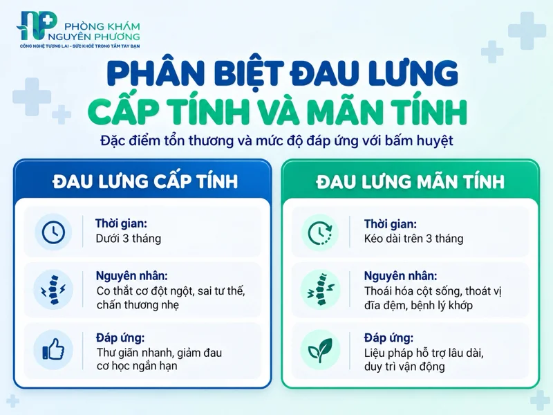 Bảng phân biệt đặc điểm đau lưng cấp tính và mãn tính