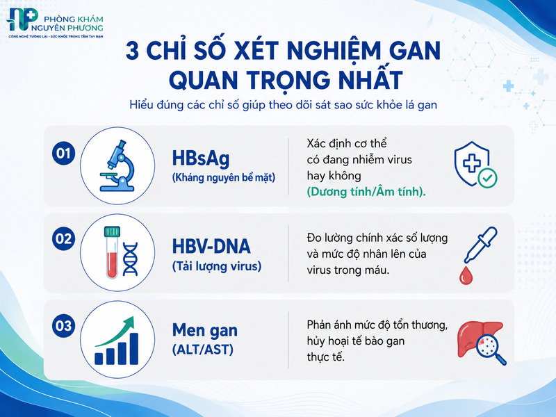 Vai trò của chỉ số HBsAg, HBV-DNA và men gan trong chẩn đoán.
