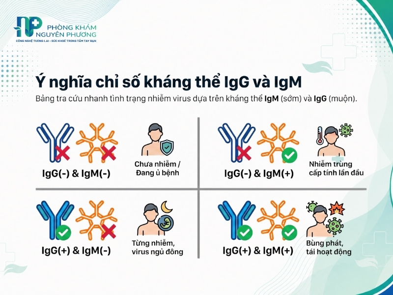 Hướng dẫn đọc kết quả xét nghiệm HSV dựa trên sự kết hợp giữa kháng thể IgG và IgMHướng dẫn đọc kết quả xét nghiệm HSV dựa trên sự kết hợp giữa kháng thể IgG và IgM