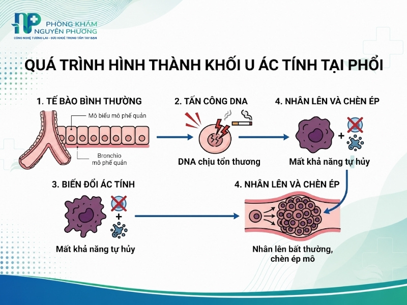 Mô phỏng quá trình tế bào hô hấp biến đổi thành khối u ác tính
