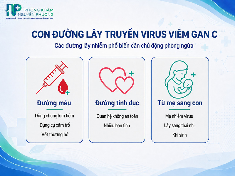 Các con đường lây truyền phổ biến của virus viêm gan C