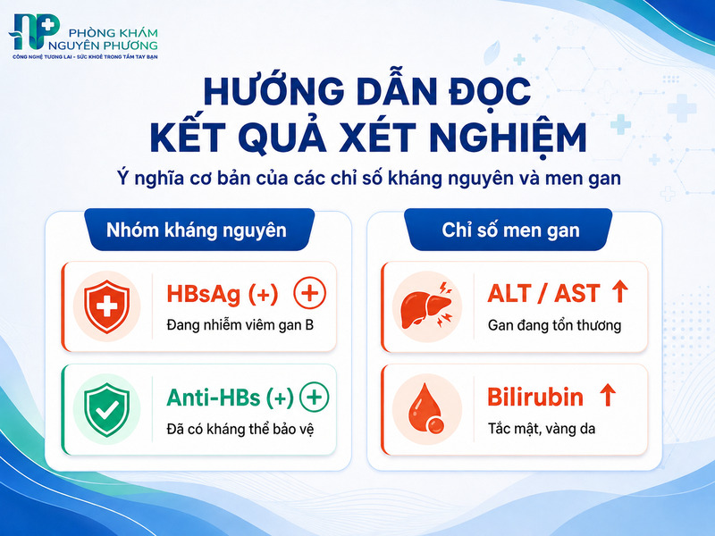Giải thích các chỉ số kháng nguyên kháng thể và men gan cơ bản