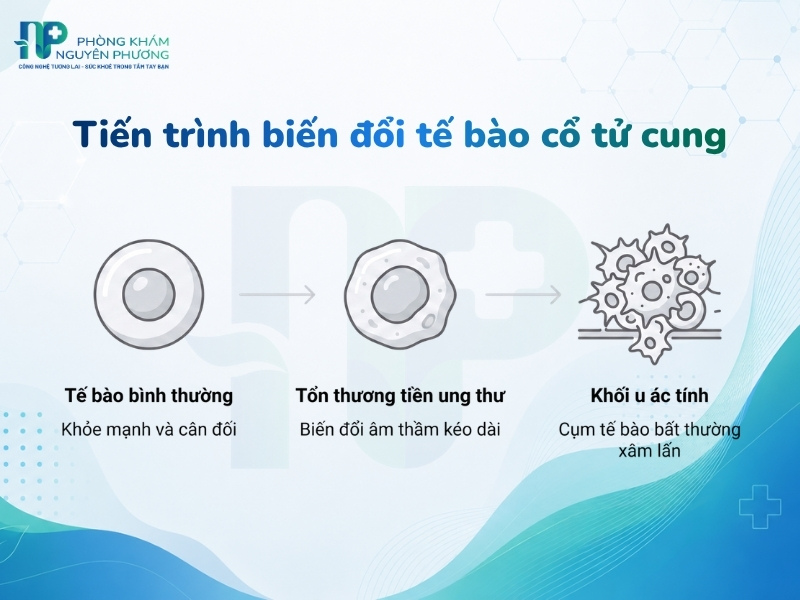 Mô tả quá trình biến đổi âm thầm từ tế bào khỏe mạnh sang ác tính