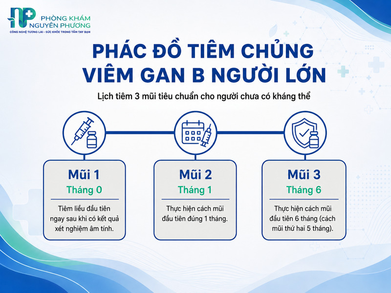 Sơ đồ thời gian thực hiện các mũi tiêm phòng viêm gan B chuẩn y khoa.