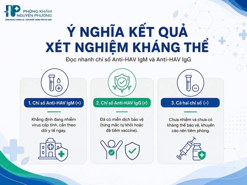 Cách đọc nhanh kết quả xét nghiệm kháng thể viêm gan A