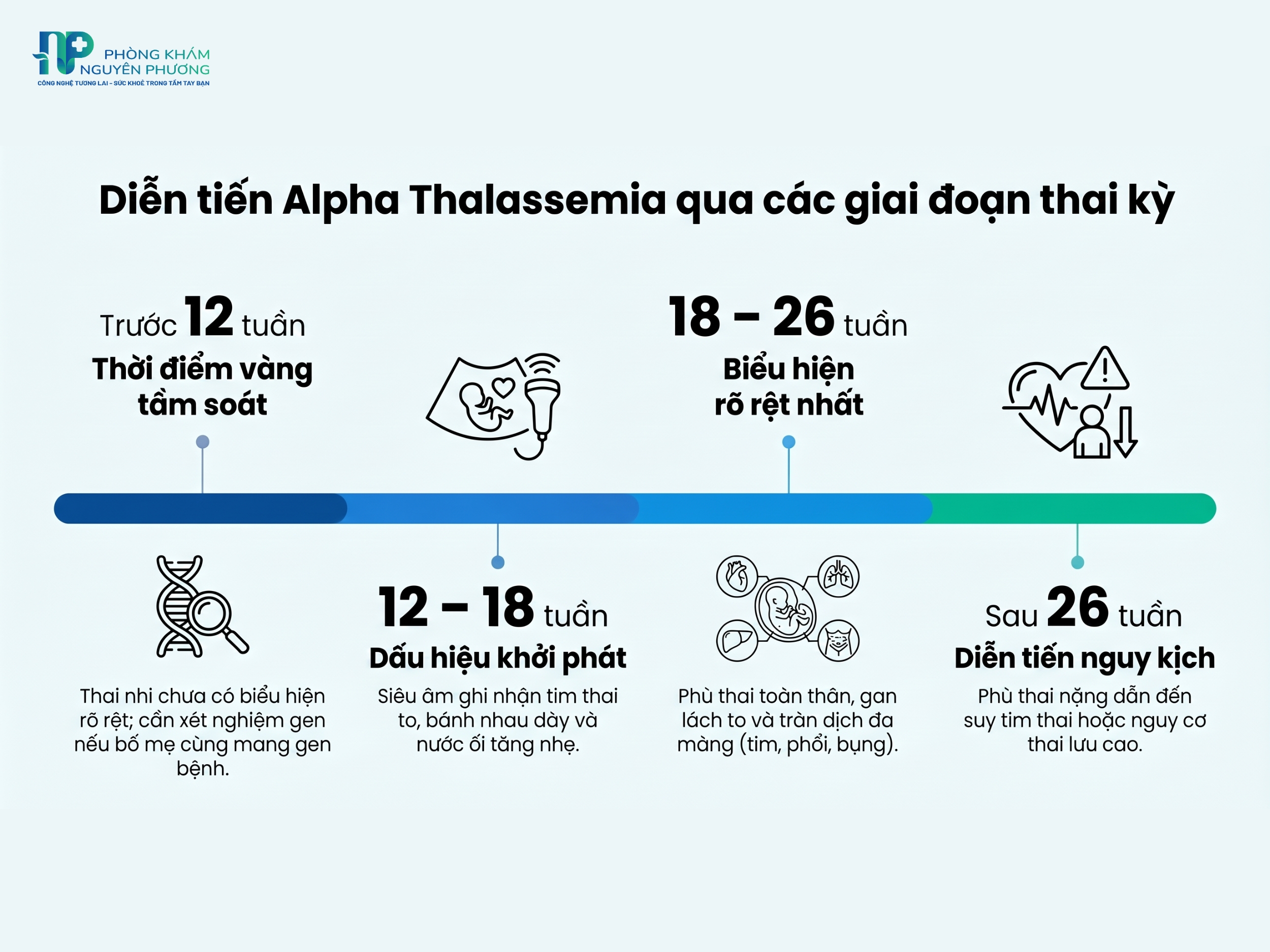 Diễn tiến Alpha Thalassemia qua các giai đoạn thai kỳ