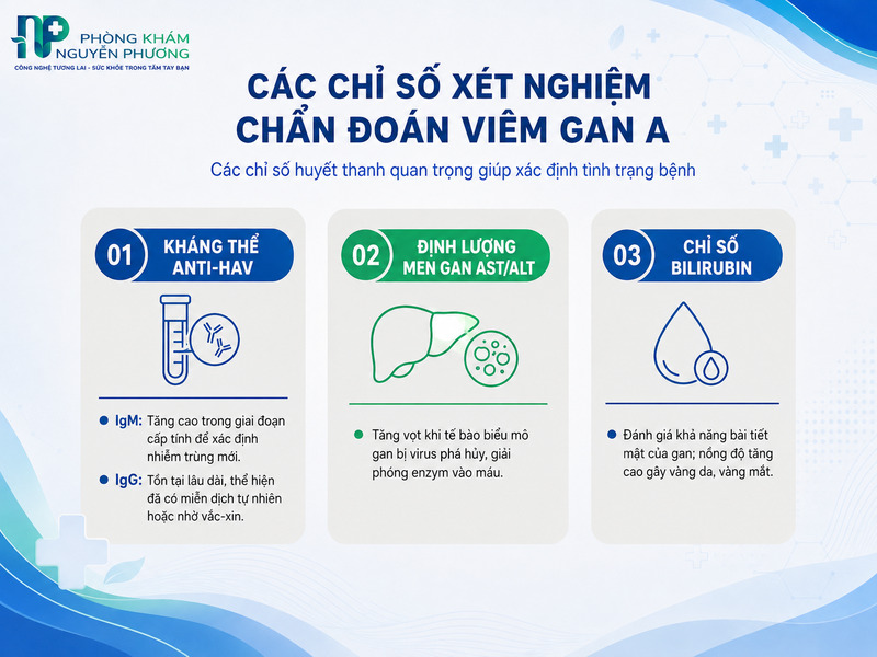 Ý nghĩa của kháng thể Anti-HAV, men gan và bilirubin trong chẩn đoán