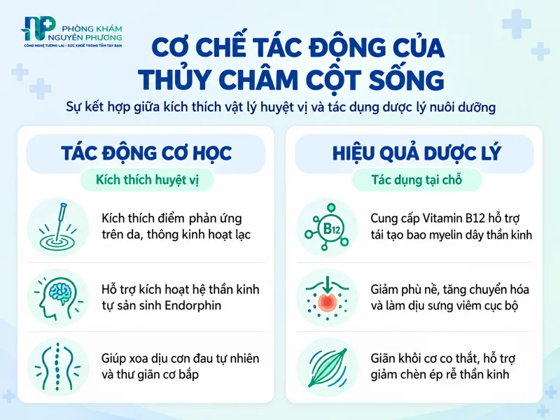 Mô tả cơ chế tác động kép của thủy châm cột sống