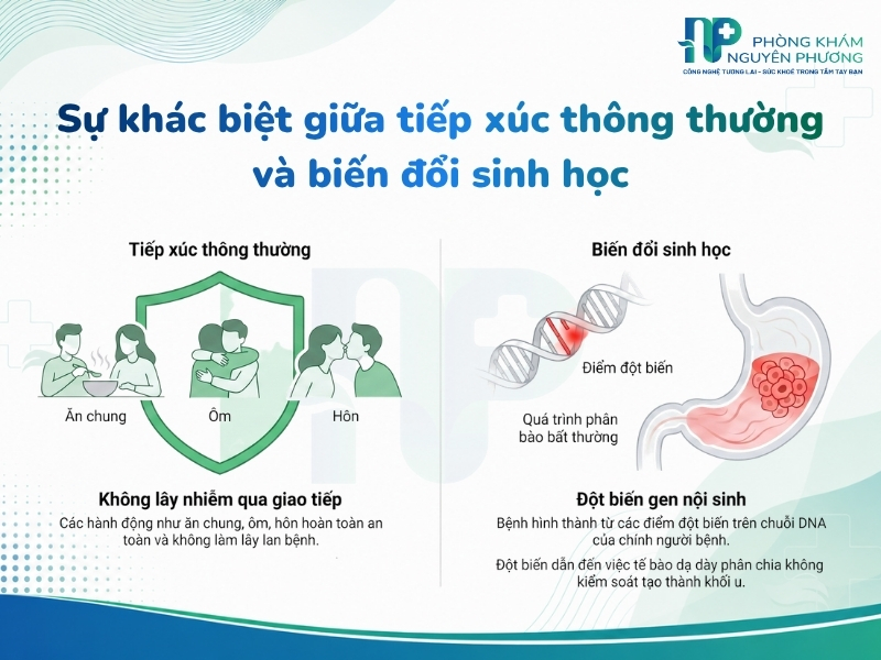Sự khác biệt giữa đột biến tế bào tự thân và sự lây nhiễm thông thường