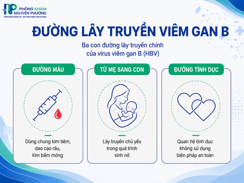 Ba con đường lây lan chính của virus HBV trong đời sống hàng ngày.