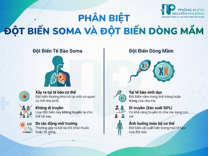 Sự khác biệt của hai nhóm đột biến gen