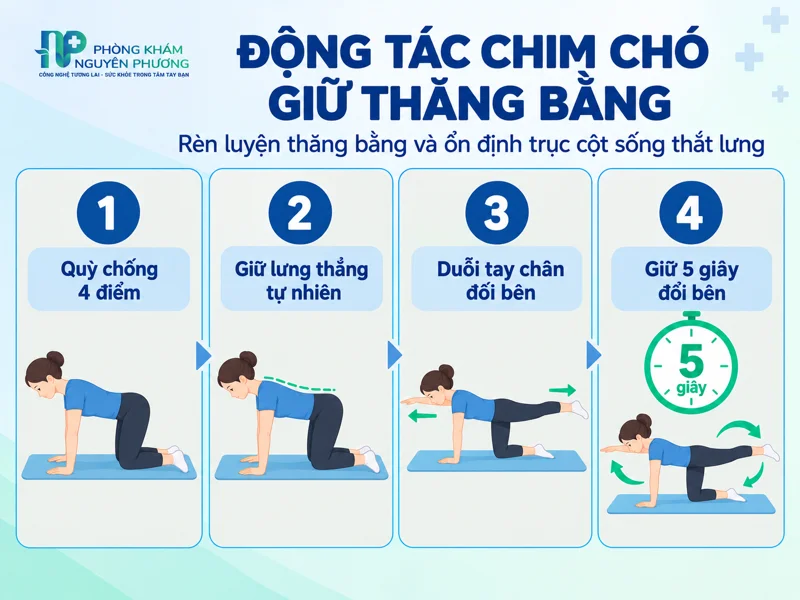 Hướng dẫn 4 bước thực hiện động tác chim chó giữ thăng bằng