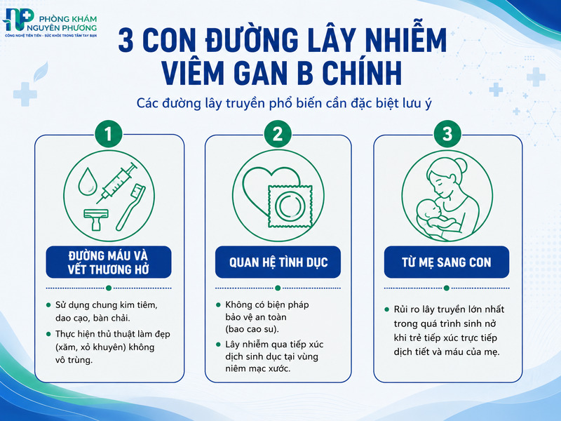 Các đường lây lan chủ yếu của virus viêm gan B trong đời sống.