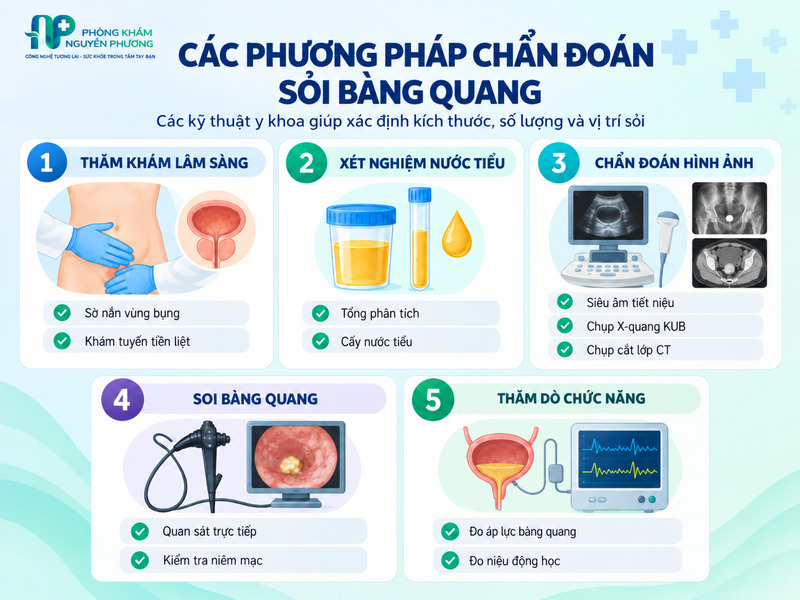 Các phương pháp hỗ trợ chẩn đoán sỏi bàng quang