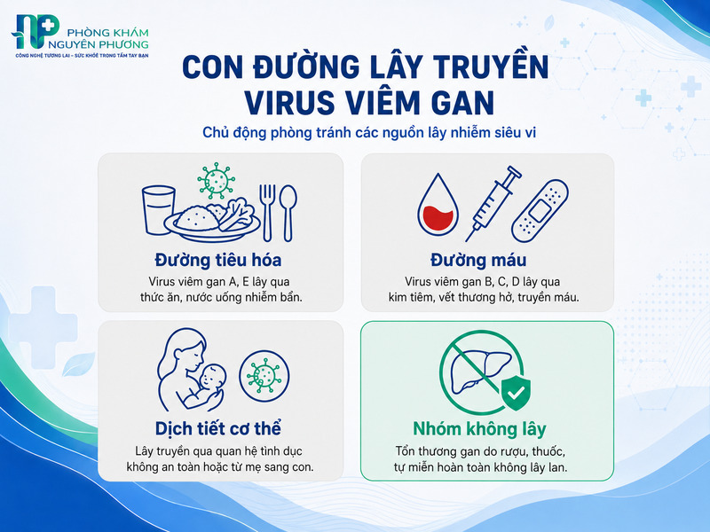 Các con đường lây truyền phổ biến của virus viêm gan