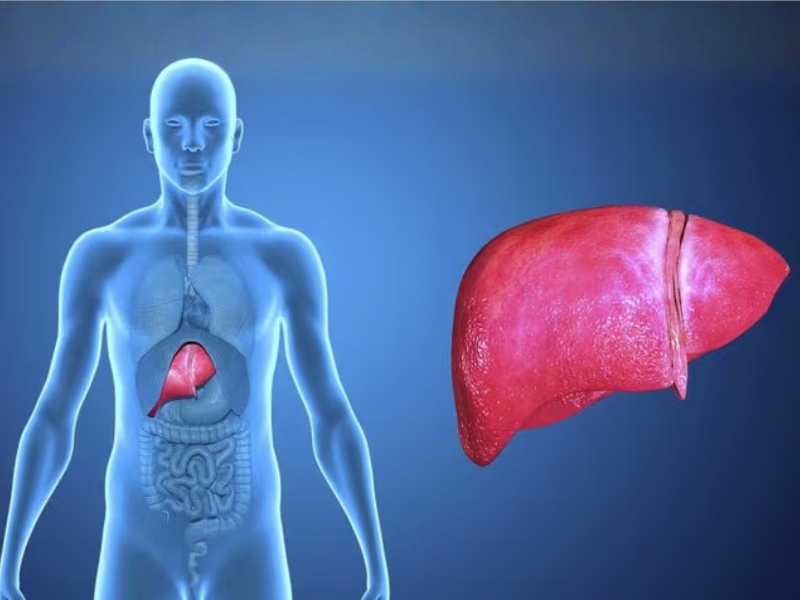 Xét nghiệm men gan và siêu âm giúp phát hiện sớm bệnh gan mật
