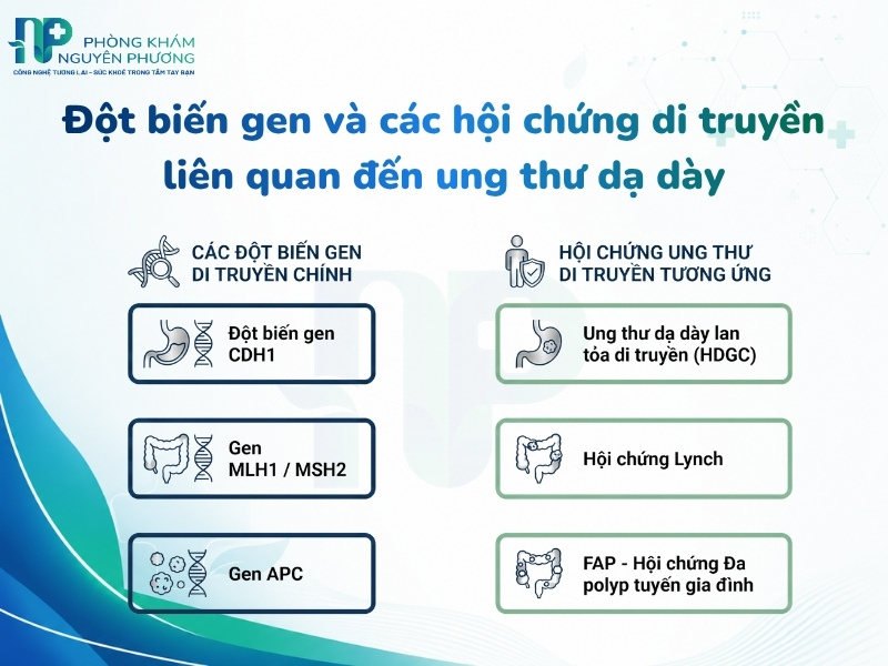 Đột biến gen và các hội chứng di truyền liên quan đến ung thư dạ dày