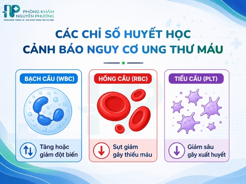 Sự biến đổi của bạch cầu, hồng cầu và tiểu cầu trong xét nghiệm máu